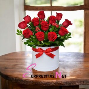 box "pasión clásica"