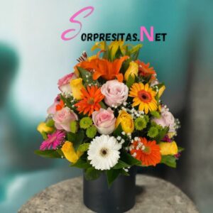 box "jardín de contrastes"