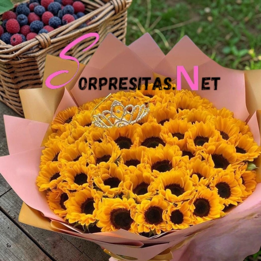reina de girasoles reina de girasoles