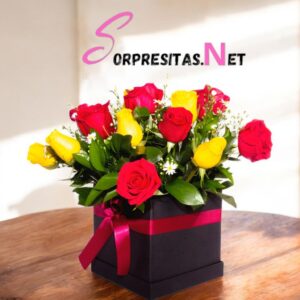 box "contraste real"