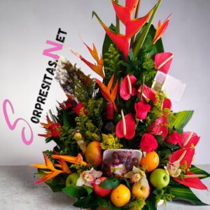 banquete tropical premium