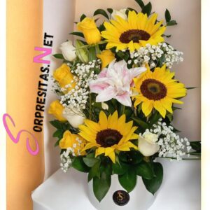 caja luxury "sol y pureza"