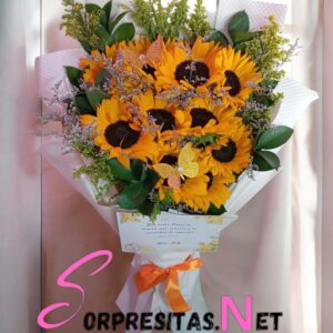 sol eterno
