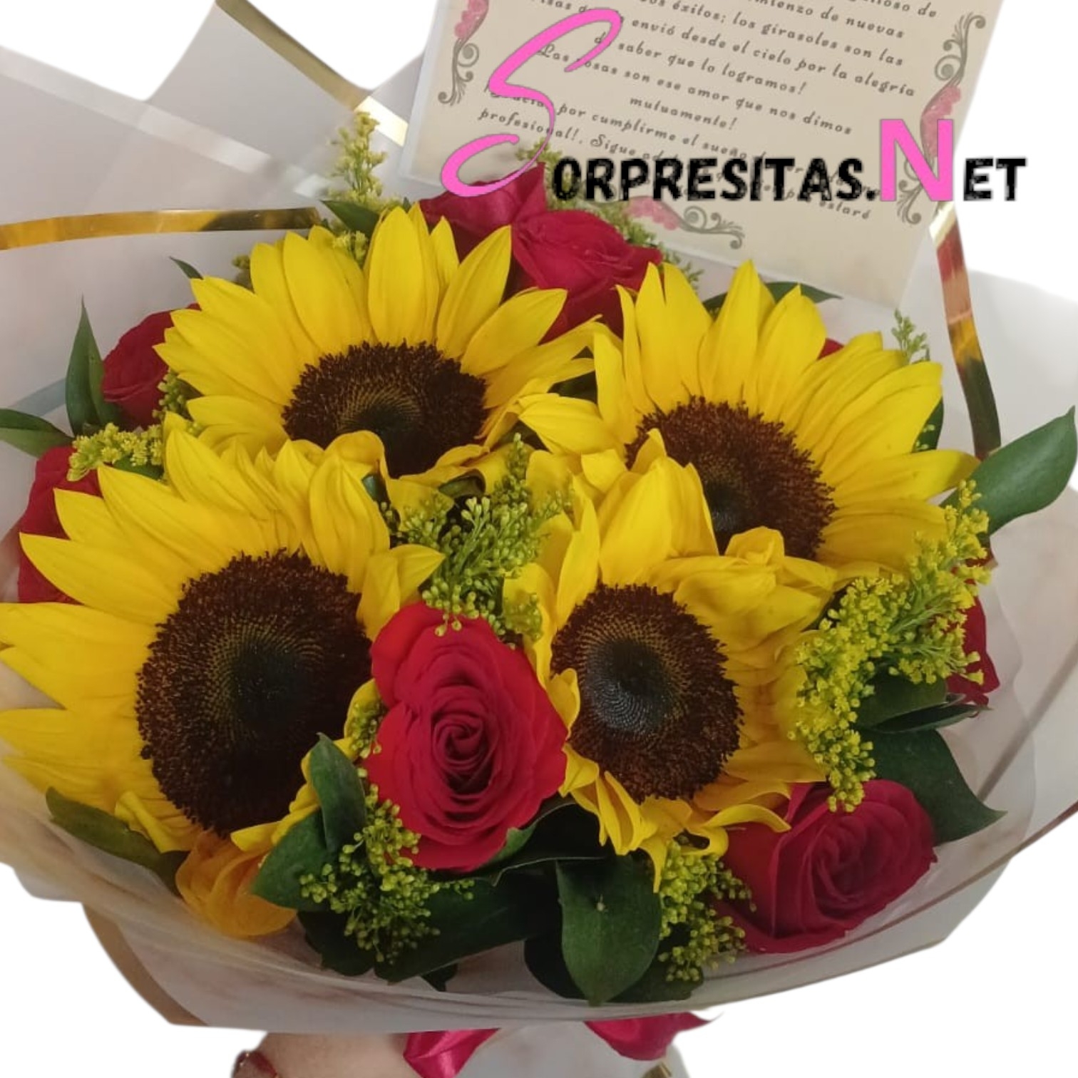 luz de Éxito luz de Éxito