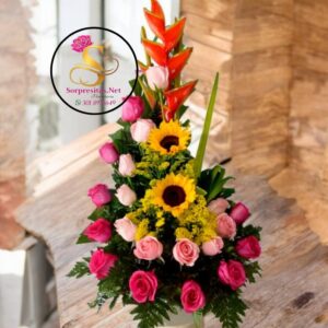 ascenso tropical premium