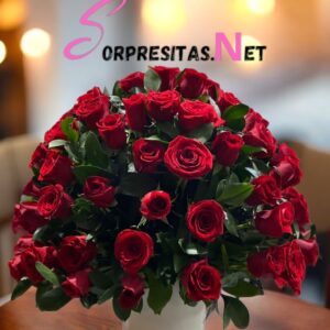 domo real